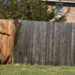 Fence cleaning Jacksonville FL vinyl wood HOA compliance