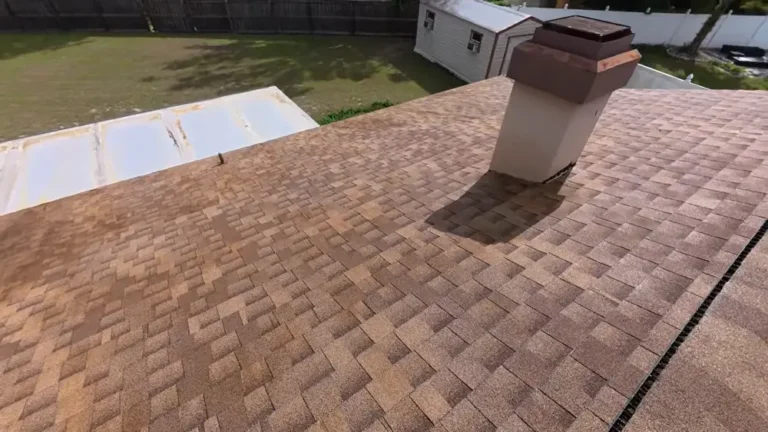 Jacksonville FL soft wash results - mold removal from house siding