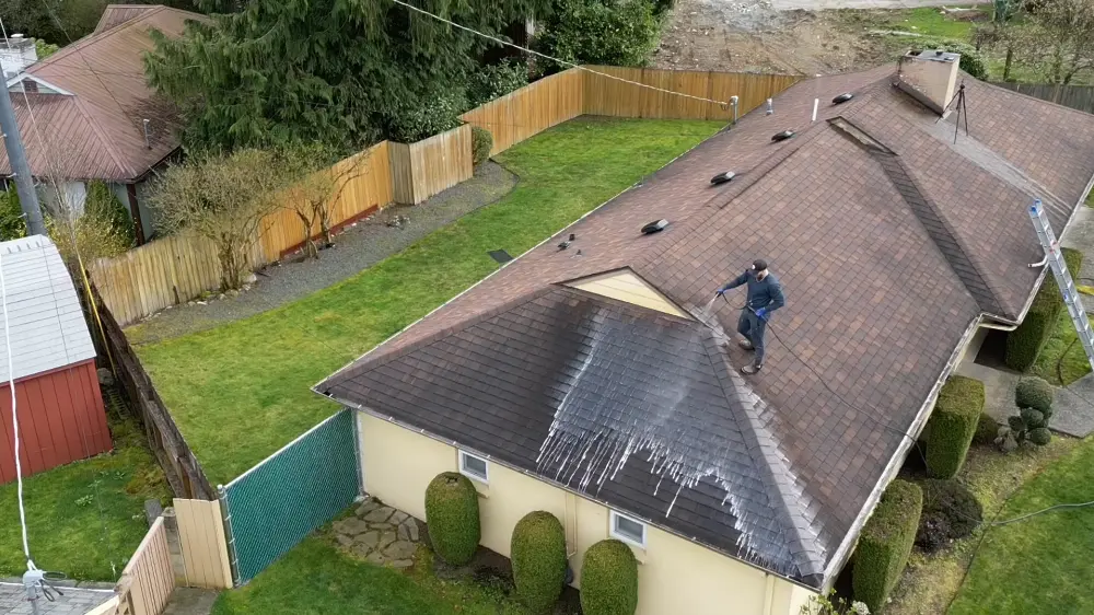 Roof cleaning Jacksonville FL soft wash Gloeocapsa magma tile asphalt ARMA approved