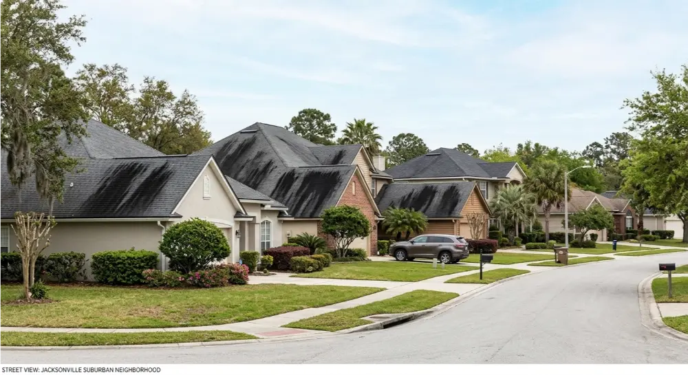 Street view of a Jacksonville suburban neighborhood showing multiple homes with prominent black algae streaks on their asphalt roofs.