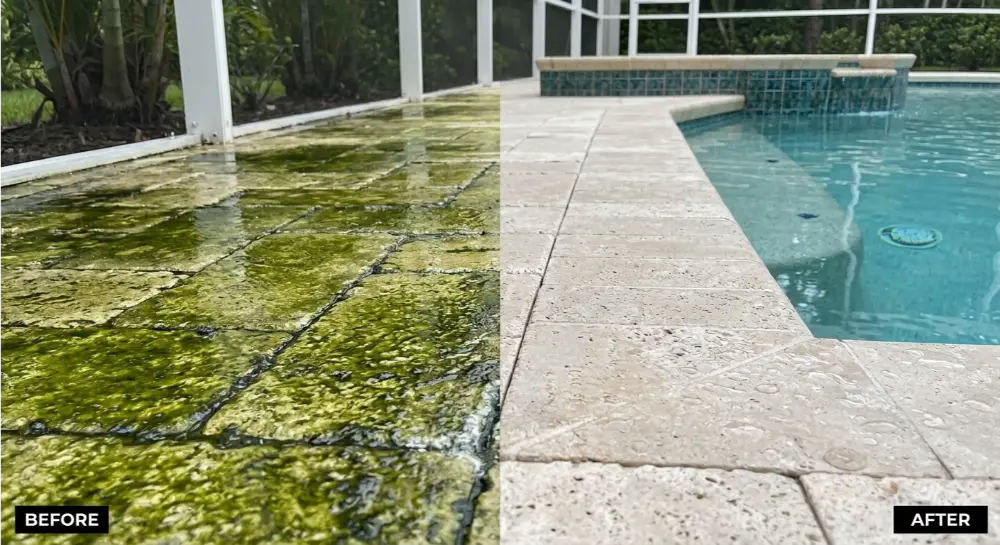 Concrete pool deck cleaning before after Jacksonville FL — algae and calcium deposits removed