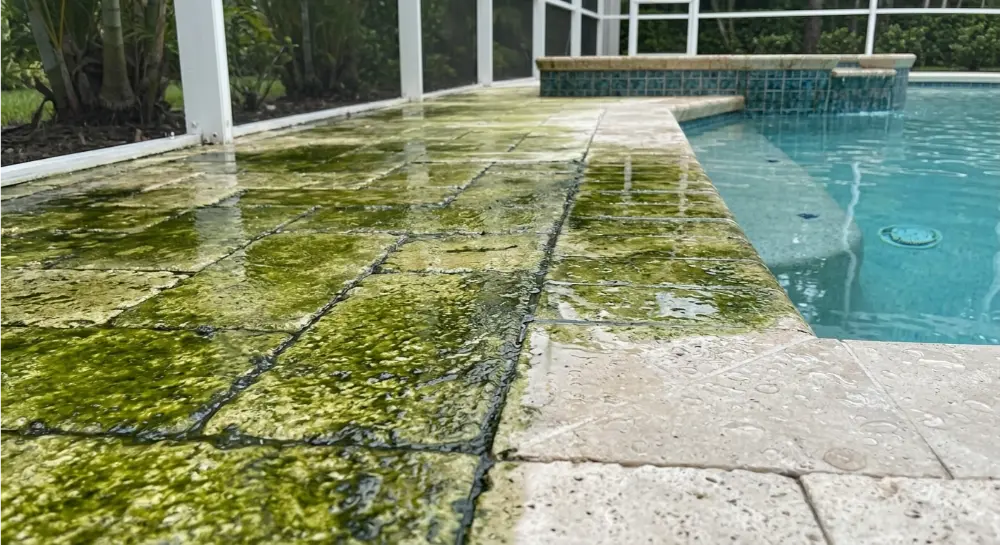 Green algae slip hazard on Jacksonville FL pool deck — safety risk before pressure washing