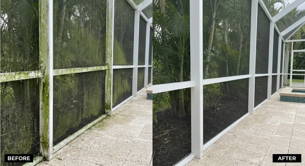 Pool cage screen enclosure soft wash before after Jacksonville FL — biological growth removed