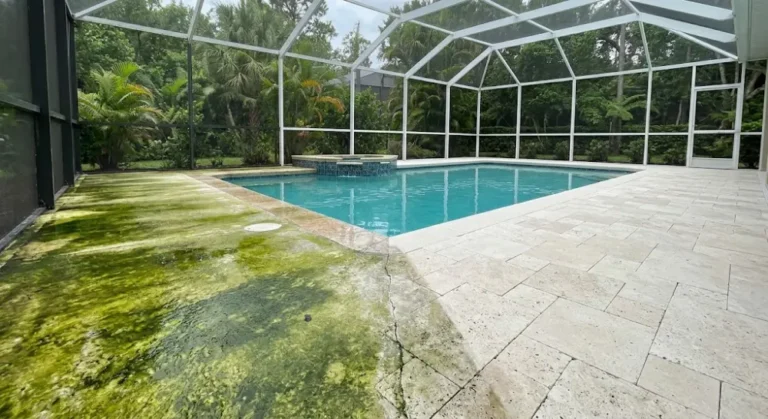 Pool deck pressure washing before after Jacksonville FL — algae calcium slip hazard removed