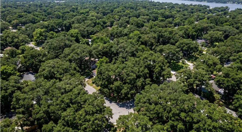 Mandarin Jacksonville FL 32223 live oak canopy neighborhoods with heaviest oak tannin staining