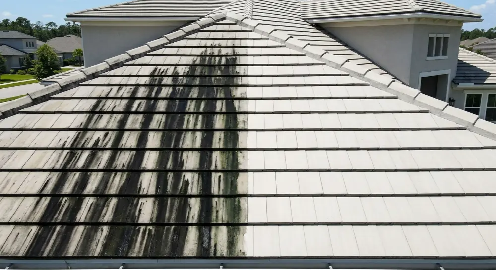 Nocatee community HOA compliance pressure washing documentation Jacksonville FL