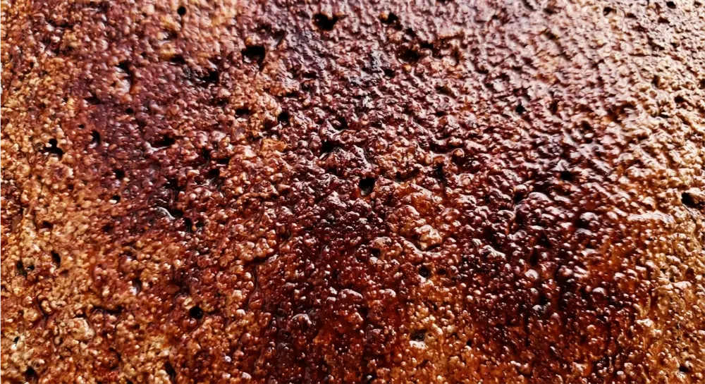 Oak tannin chemical penetration into concrete pores — Jacksonville FL driveway staining